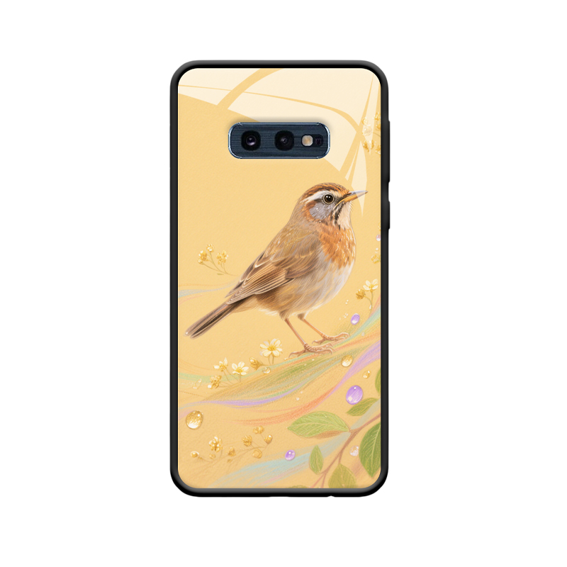 Eleganz und Schutz für Ihr Galaxy S10e: Die Soor Hülle