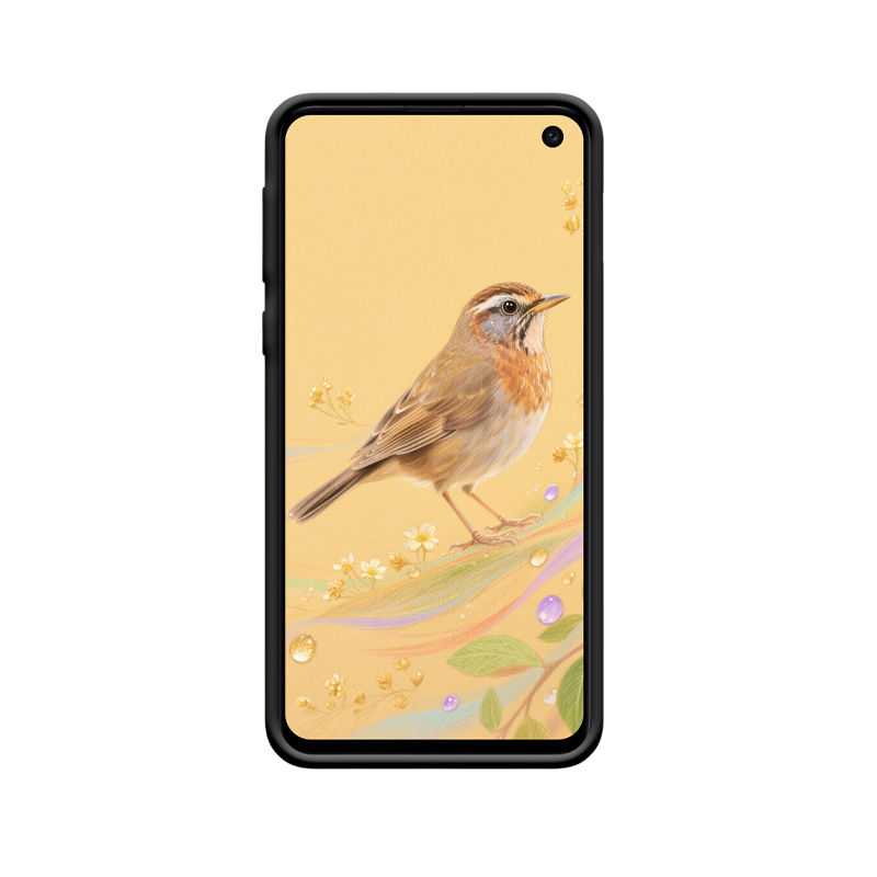 Eleganz und Schutz für Ihr Galaxy S10e: Die Soor Hülle – Bild 2