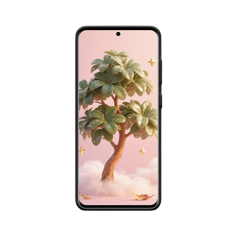Galaxy S20 Hülle mit der Energie des Geldbaums – Bild 2