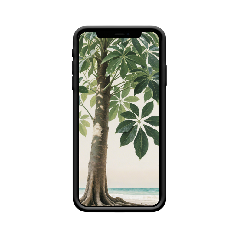 Ruhe und Wohlstand: Die Bedeutung des Geldbaums und die iPhone XS Hülle – Bild 2
