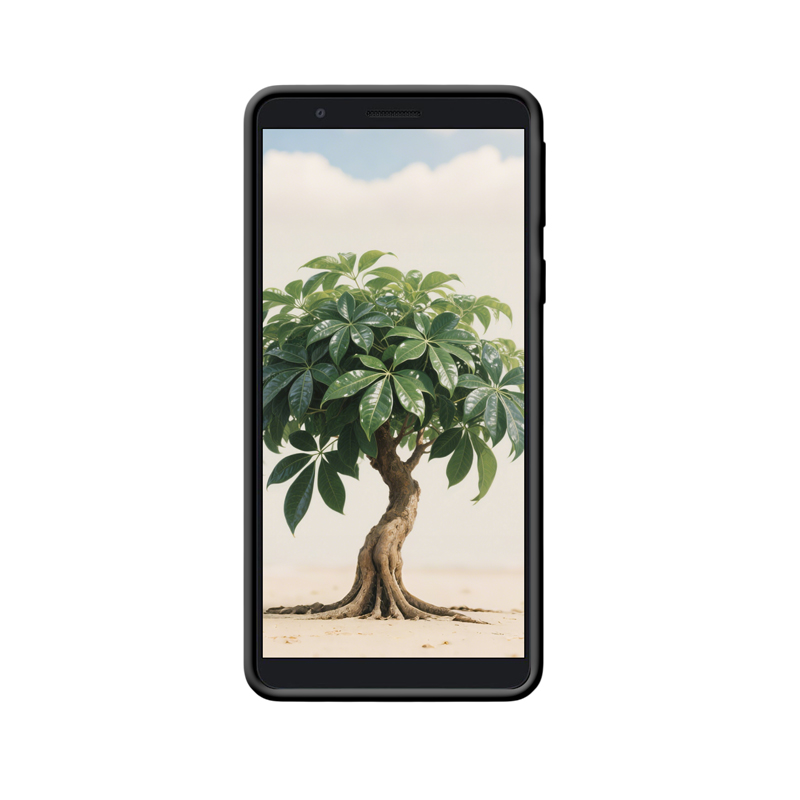 Wohlstand zum Mitnehmen – Galaxy A01 Core Hülle mit Geldbaum-Design – Bild 2