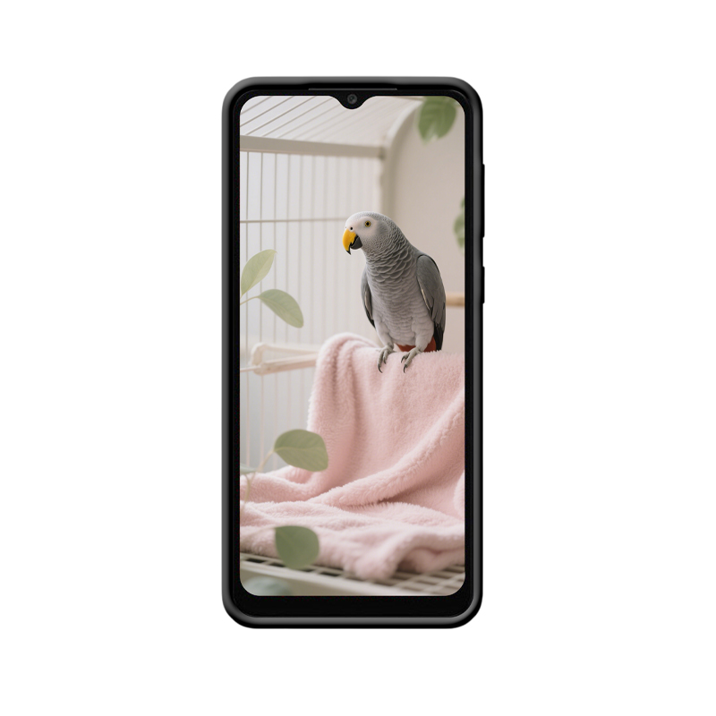 Stilvoller Schutz – Galaxy A04e Hülle mit Papageienmagie – Bild 2