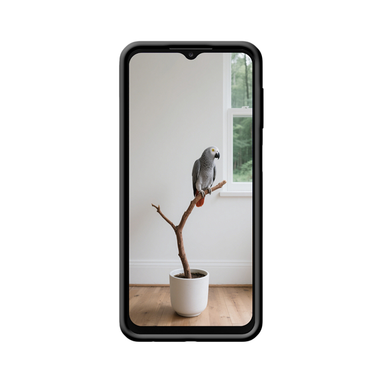 Ruhiger Raum: Grauer Papagei und die minimalistische Poesie der Galaxy A23 5G UW Hülle – Bild 2