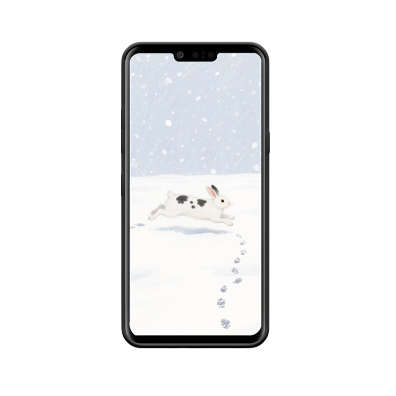 LG G8s ThinQ Hülle und das hüpfende Kaninchen im Schnee – Bild 2