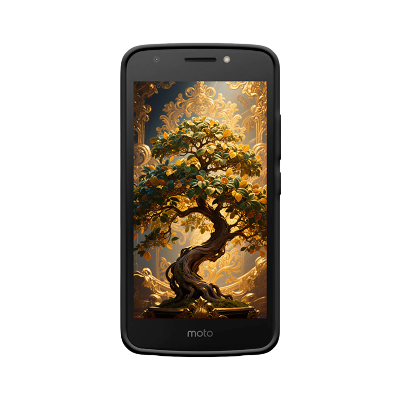 Moto E4 Hülle mit Geldbaum - Glanzvoller Reichtum – Bild 2