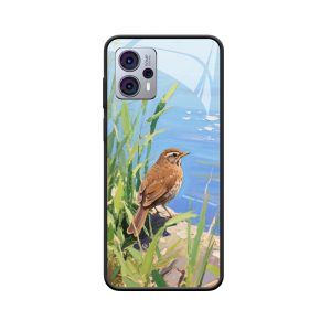 Ruhiger See: Drossel und Moto G23 Naturvereinigung