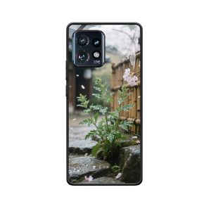 Der Klang des Morgentau: Motorola Edge 40 Pro und Beifuß im Frühling