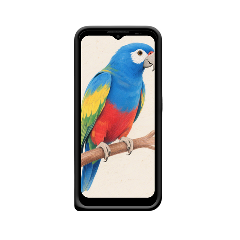 Motorola Defy 2021 Hülle und die Schönheit des Regenwald-Papageis – Bild 2