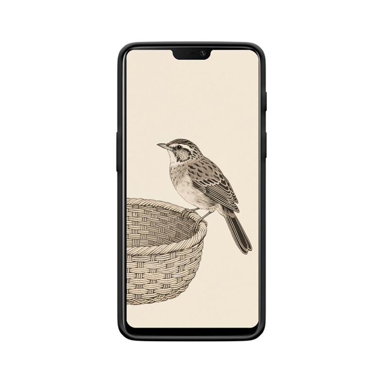 Tuschmalerei-Drossel und OnePlus 6 Hülle – Bild 2
