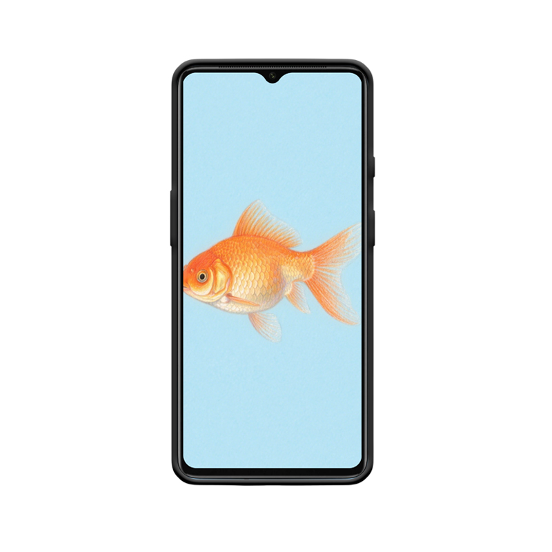 Reines Bild mit Goldfisch und OnePlus 7T Hülle – Bild 2
