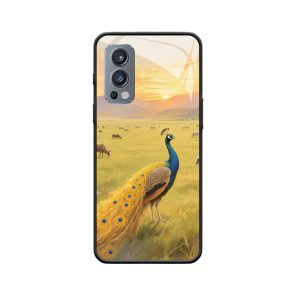 Sonnenuntergang auf der Steppe und der prächtige Pfau mit OnePlus Nord 2 5G Hülle