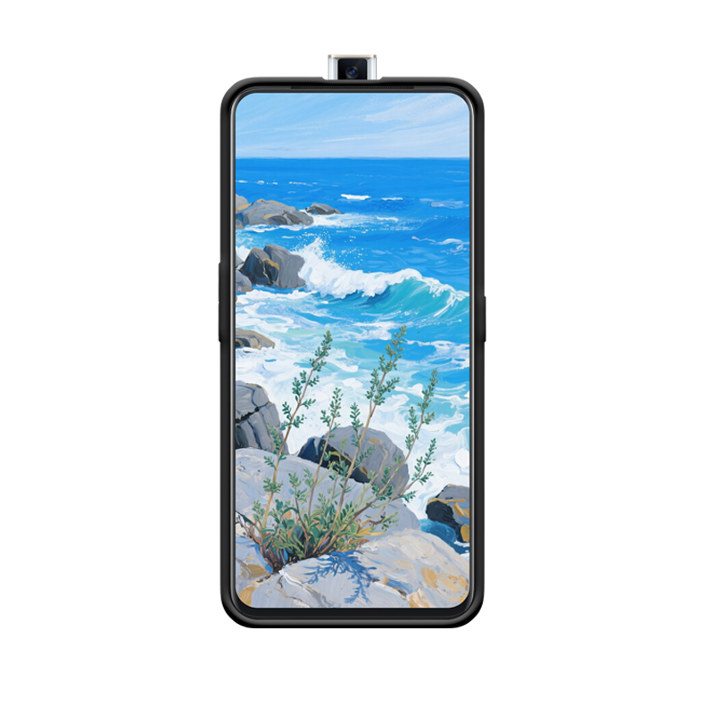 Beifuß am Meer und die robuste Lebenskraft des OPPO Reno2 Z – Bild 2