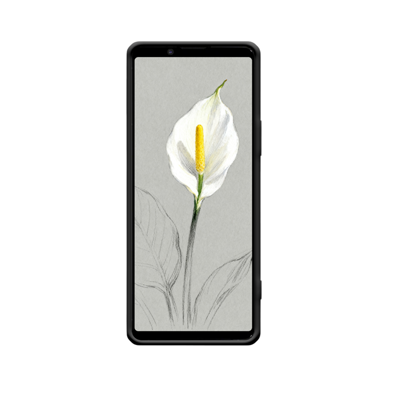 Die perfekte Verschmelzung von Spathiphyllum und Sony Xperia 1 II in frischer Eleganz – Bild 2