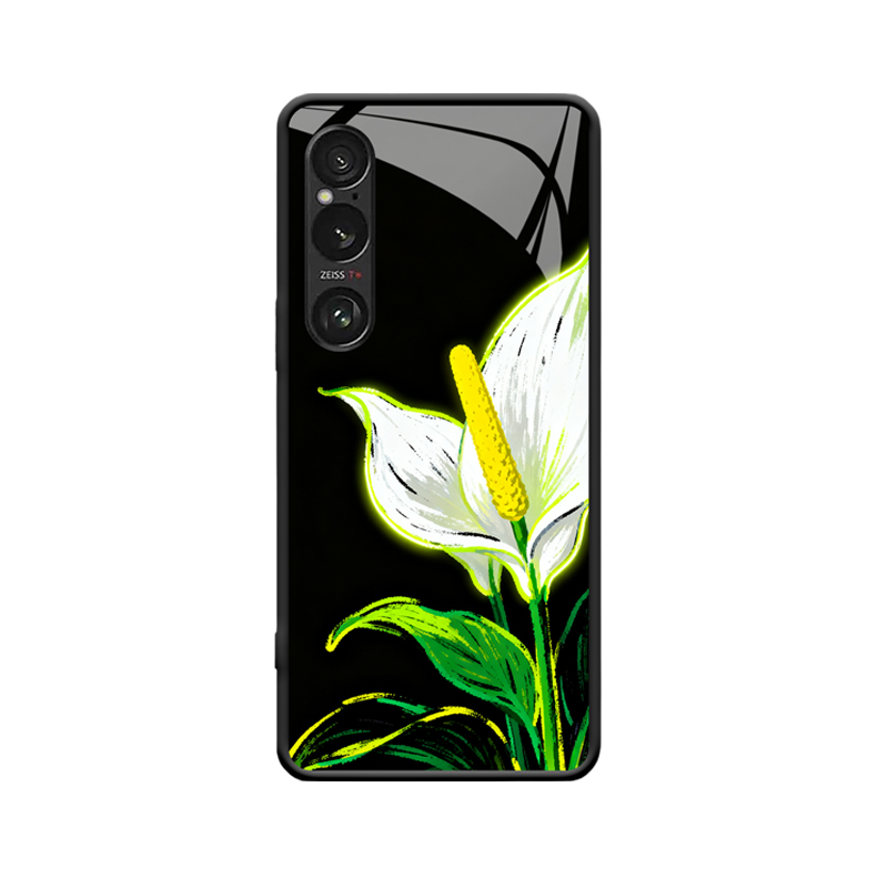 Die einzigartige Anziehungskraft des Spathiphyllum und des Sony Xperia 1 auf schwarzem Hintergrund