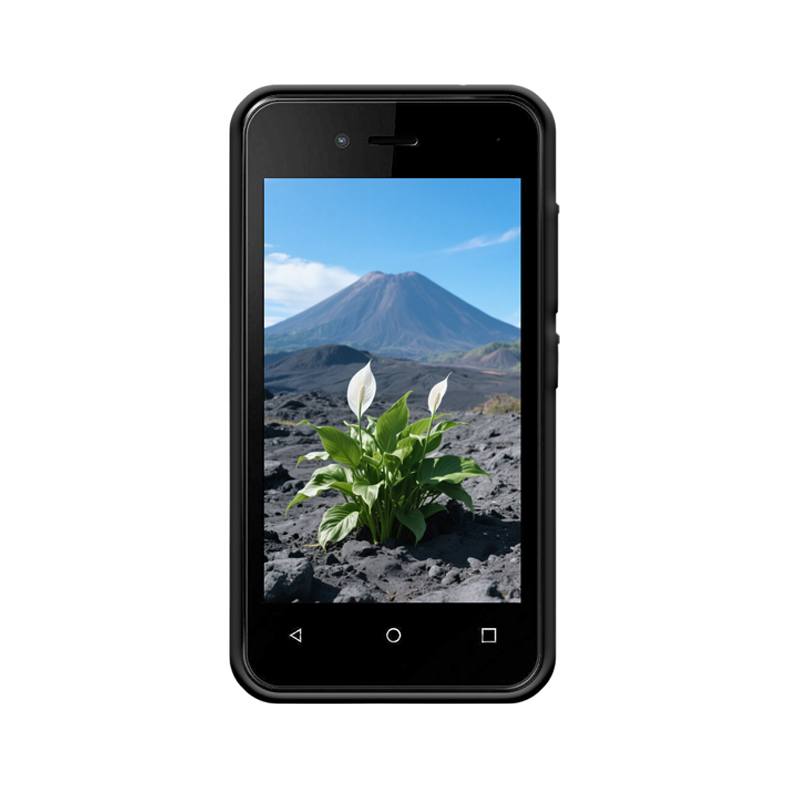 Wiko SUNNY3 MINI Hülle und die Widerstandskraft des Spathiphyllum – Bild 2